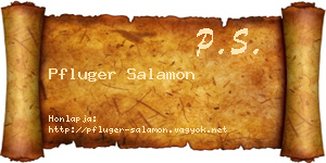 Pfluger Salamon névjegykártya